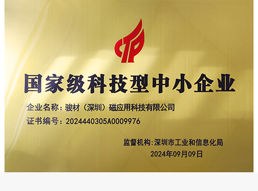 National High-Tech SME